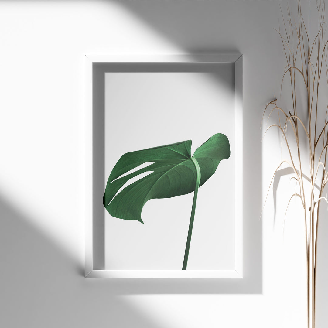 Grønne Plakater | Smukke planteillustrationer til dit hjem | Plakat med grønne planter, botanisk kunst og naturplanter, ideel til at tilføje et organisk og livligt præg til dit hjem.