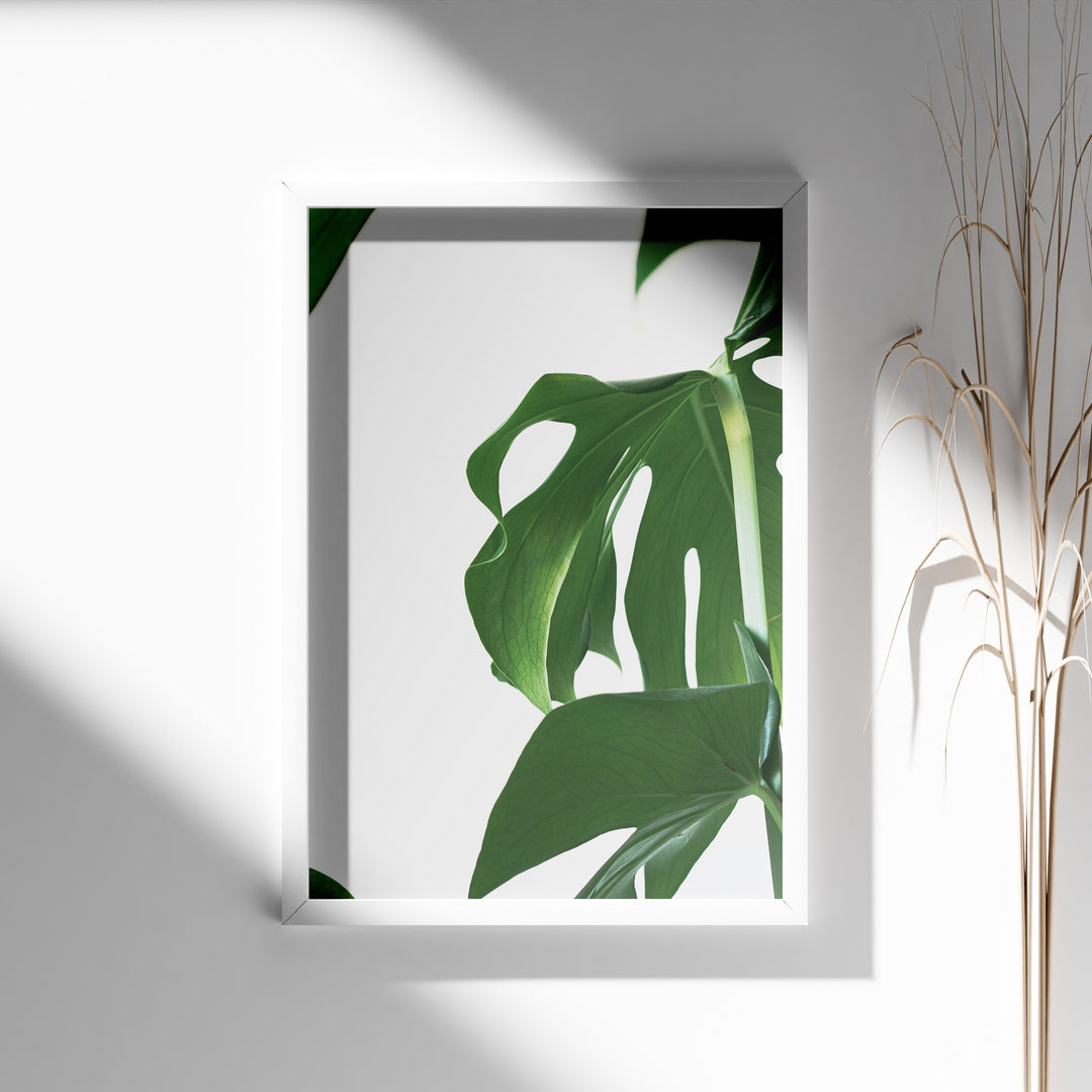 Naturinspirerede Plakater | Elegante planter og blomster til din bolig | Plakat med grønne planter, botanisk kunst og naturplanter, ideel til at tilføje et organisk og livligt præg til dit hjem.