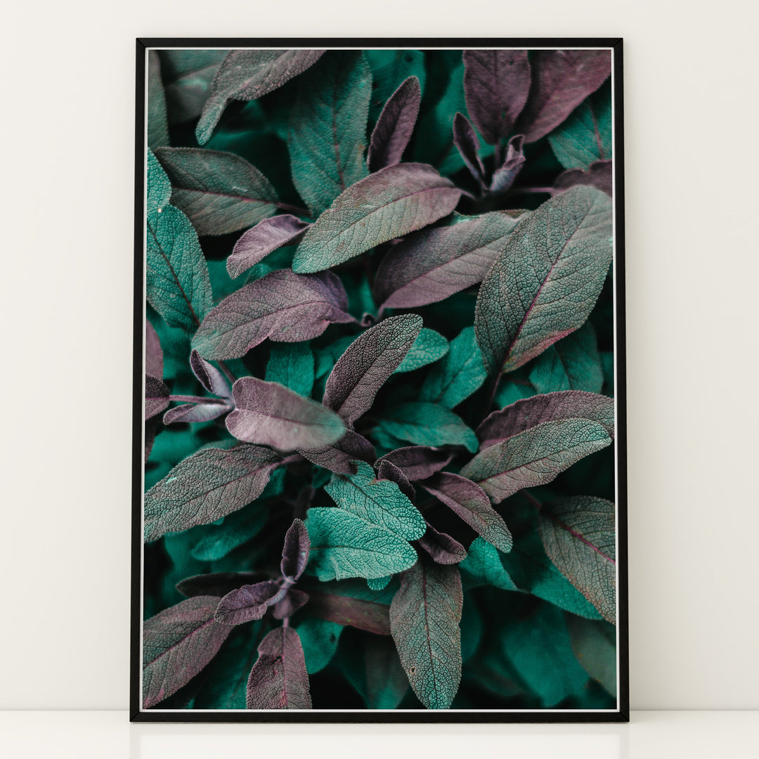 Naturens Elegance | Plakater med detaljerede planteillustrationer | Plakat med grønne planter, botanisk kunst og naturplanter, ideel til at tilføje et organisk og livligt præg til dit hjem.