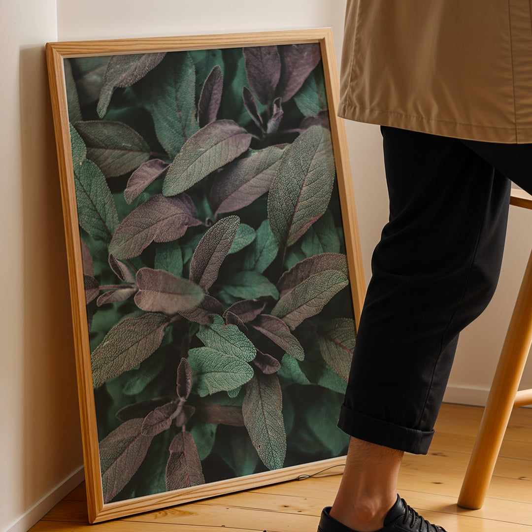 Naturens Elegance | Plakater med detaljerede planteillustrationer | Plakat med grønne planter, botanisk kunst og naturplanter, ideel til at tilføje et organisk og livligt præg til dit hjem.