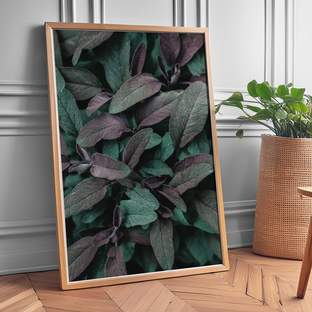 Naturens Elegance | Plakater med detaljerede planteillustrationer | Plakat med grønne planter, botanisk kunst og naturplanter, ideel til at tilføje et organisk og livligt præg til dit hjem.