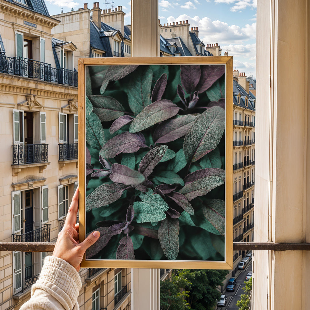 Naturens Elegance | Plakater med detaljerede planteillustrationer | Plakat med grønne planter, botanisk kunst og naturplanter, ideel til at tilføje et organisk og livligt præg til dit hjem.