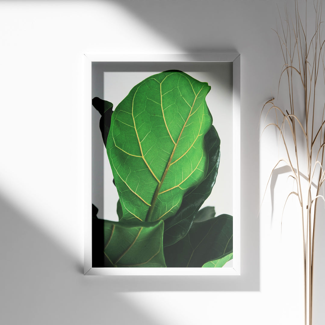 Grøn Vægkunst | Realistiske plante plakater til indretning | Plakat med grønne planter, botanisk kunst og naturplanter, ideel til at tilføje et organisk og livligt præg til dit hjem.