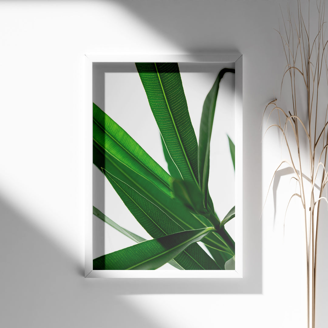 Plantemotiver | Unikke plante illustrationer print til dit hjem | Plakat med grønne planter, botanisk kunst og naturplanter, ideel til at tilføje et organisk og livligt præg til dit hjem.