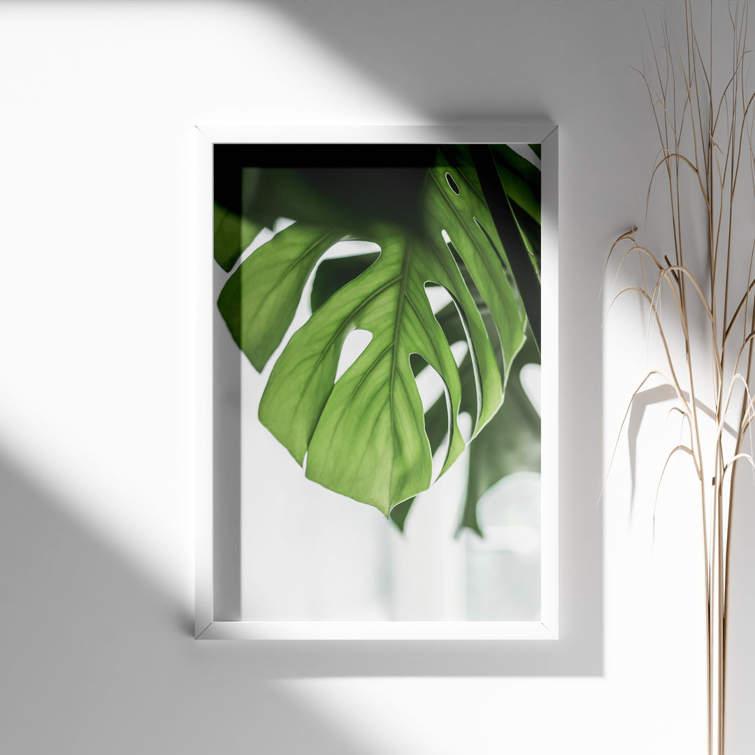 Flora på Væggen | Dekorér dine rum med naturlige designs | Plakat med grønne planter, botanisk kunst og naturplanter, ideel til at tilføje et organisk og livligt præg til dit hjem.