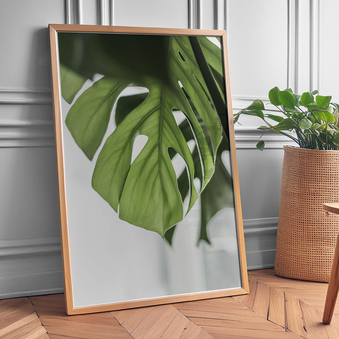 Flora på Væggen | Dekorér dine rum med naturlige designs | Plakat med grønne planter, botanisk kunst og naturplanter, ideel til at tilføje et organisk og livligt præg til dit hjem.