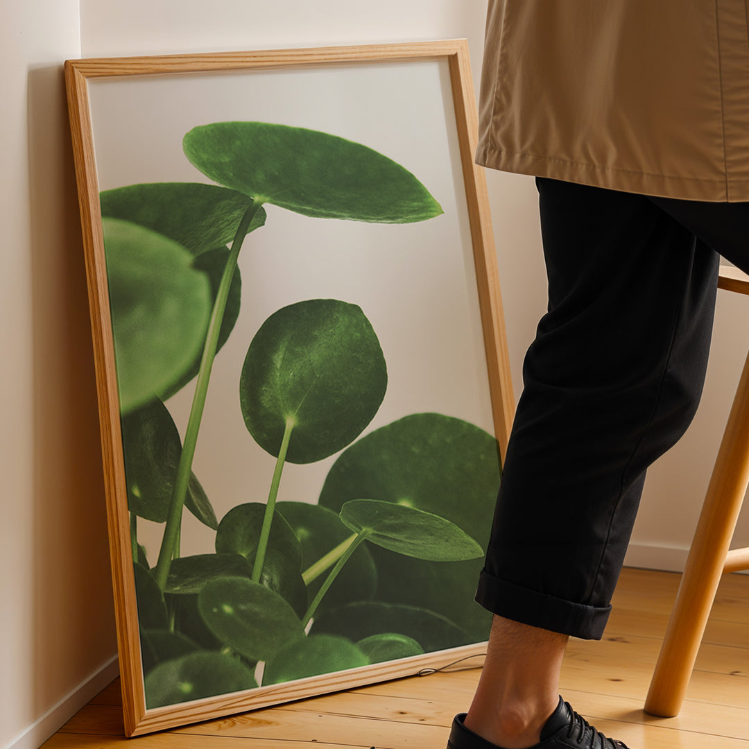 Grønne Vægkunstværker | Planter og natur i din stue | Plakat med grønne planter, botanisk kunst og naturplanter, ideel til at tilføje et organisk og livligt præg til dit hjem.