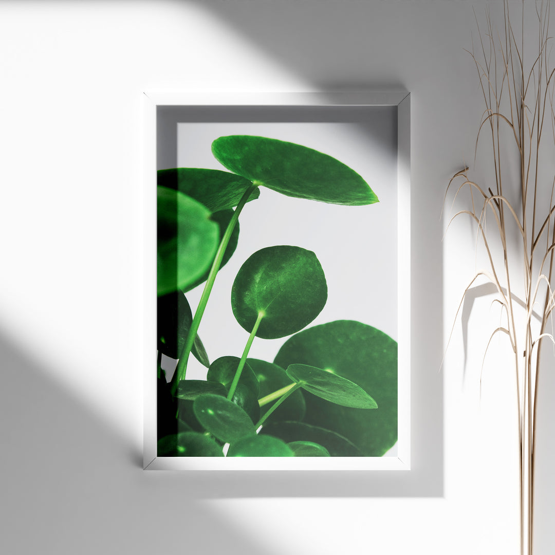 Grønne Vægkunstværker | Planter og natur i din stue | Plakat med grønne planter, botanisk kunst og naturplanter, ideel til at tilføje et organisk og livligt præg til dit hjem.