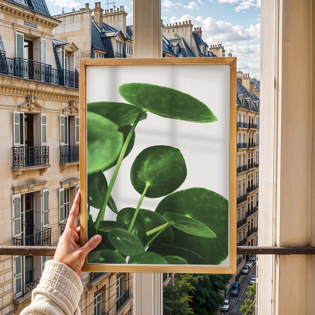 Grønne Vægkunstværker | Planter og natur i din stue | Plakat med grønne planter, botanisk kunst og naturplanter, ideel til at tilføje et organisk og livligt præg til dit hjem.