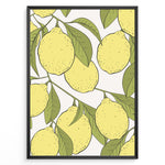 Indlæs billede til gallerivisning Botanical poster featuring yellow lemons with green leaves on white background, framed in black.
