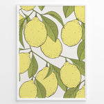 Indlæs billede til gallerivisning Botanical poster featuring yellow lemons with green leaves on white background, framed in white.
