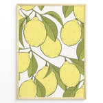 Indlæs billede til gallerivisning Botanical poster featuring yellow lemons with green leaves on white background, framed in golden.
