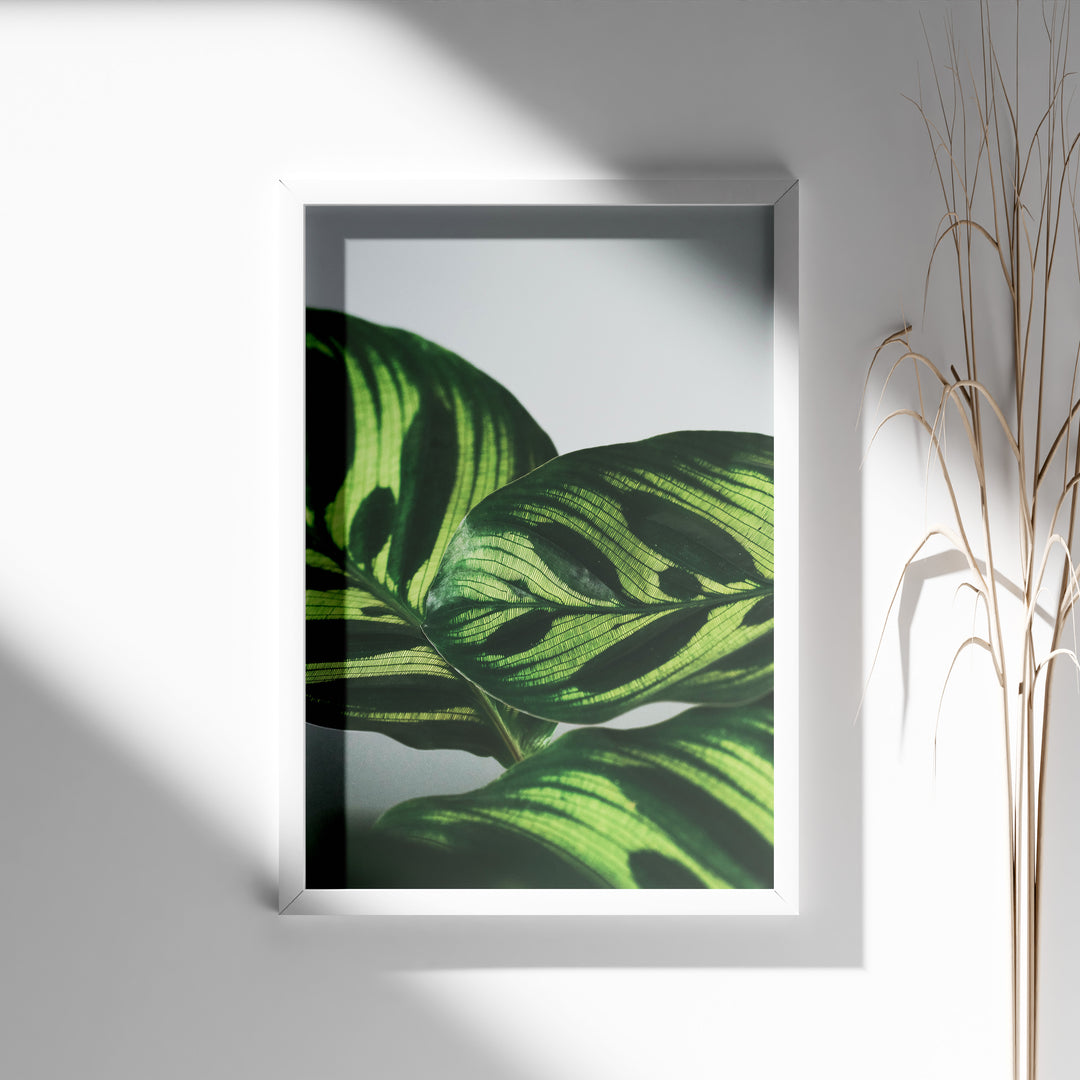 Flora og Fauna | Elegant vægdekoration til boligen | Plakat med grønne planter, botanisk kunst og naturplanter, ideel til at tilføje et organisk og livligt præg til dit hjem.