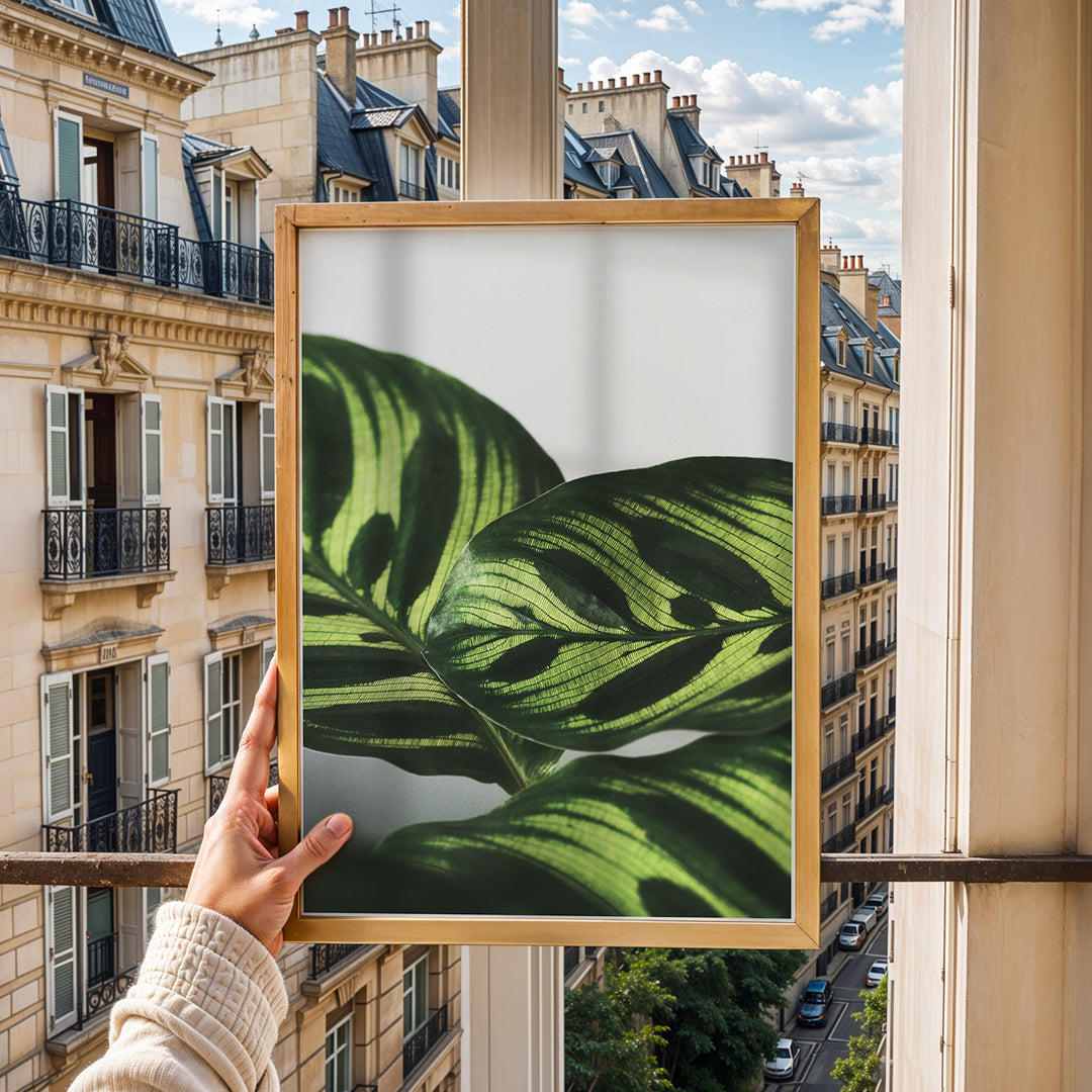 Flora og Fauna | Elegant vægdekoration til boligen | Plakat med grønne planter, botanisk kunst og naturplanter, ideel til at tilføje et organisk og livligt præg til dit hjem.