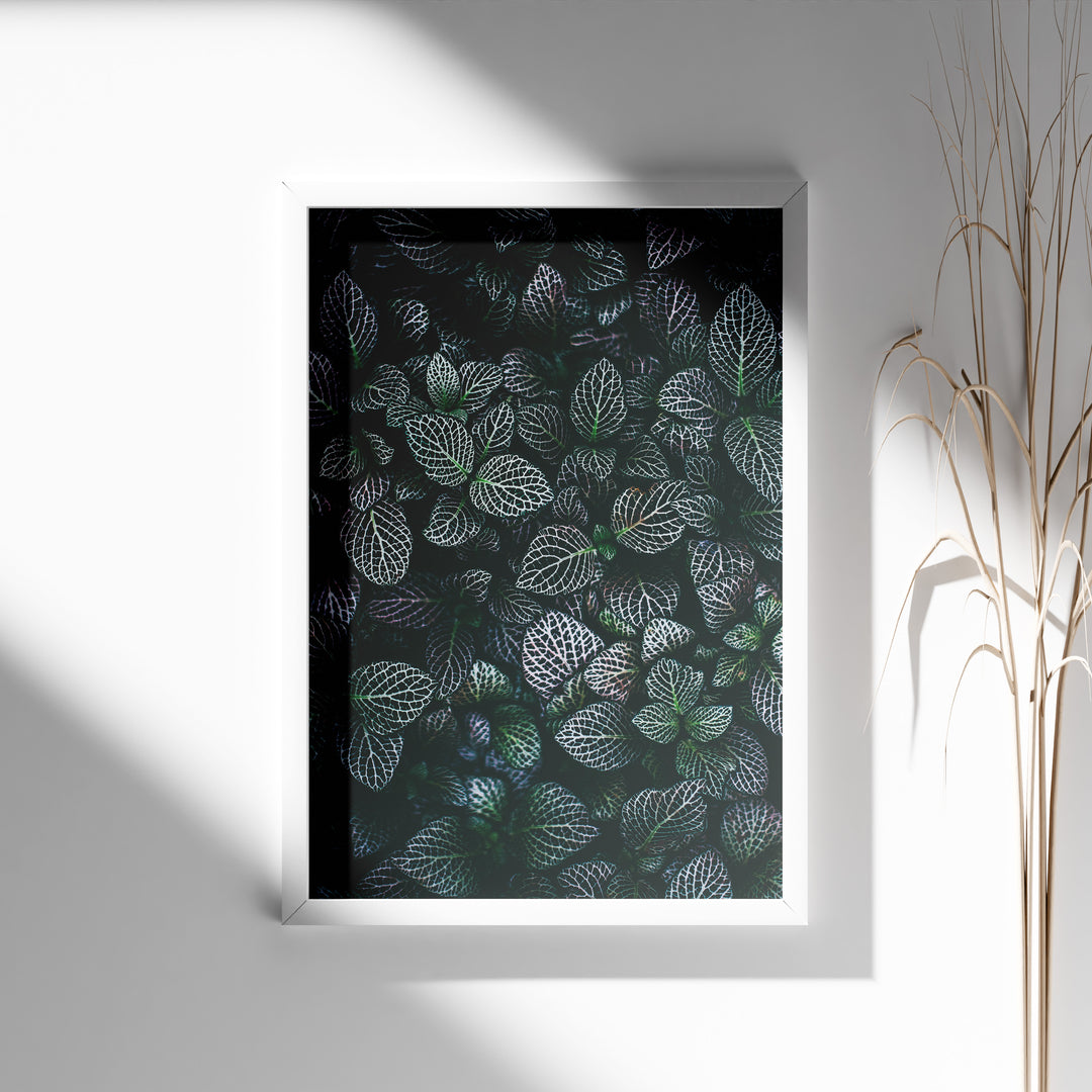 Grøn Inspiration | Plakater med frodige motiver til stuen | Plakat med grønne planter, botanisk kunst og naturplanter, ideel til at tilføje et organisk og livligt præg til dit hjem.