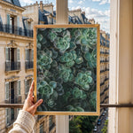 Indlæs billede til gallerivisning Flora Illustreret | Smukke plakater til kontor og hjem | Plakat med grønne planter, botanisk kunst og naturplanter, ideel til at tilføje et organisk og livligt præg til dit hjem.
