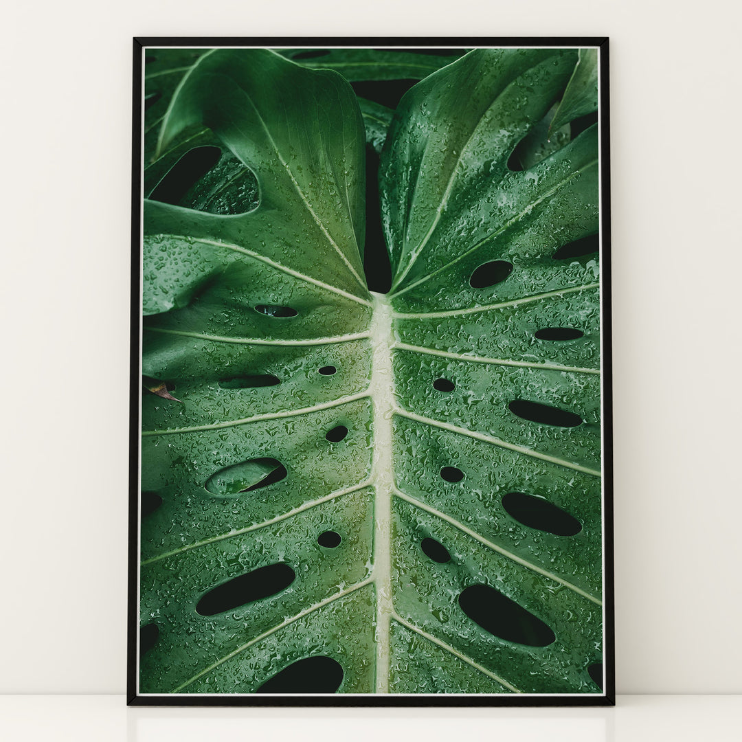 Plante plakat | Naturligt print til din indretning | Plakat med grønne planter, botanisk kunst og naturplanter, ideel til at tilføje et organisk og livligt præg til dit hjem.