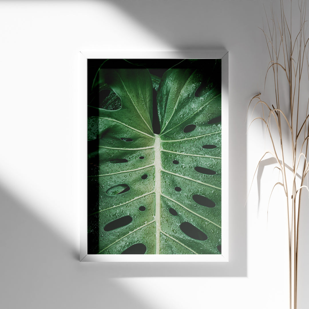 Plante plakat | Naturligt print til din indretning | Plakat med grønne planter, botanisk kunst og naturplanter, ideel til at tilføje et organisk og livligt præg til dit hjem.