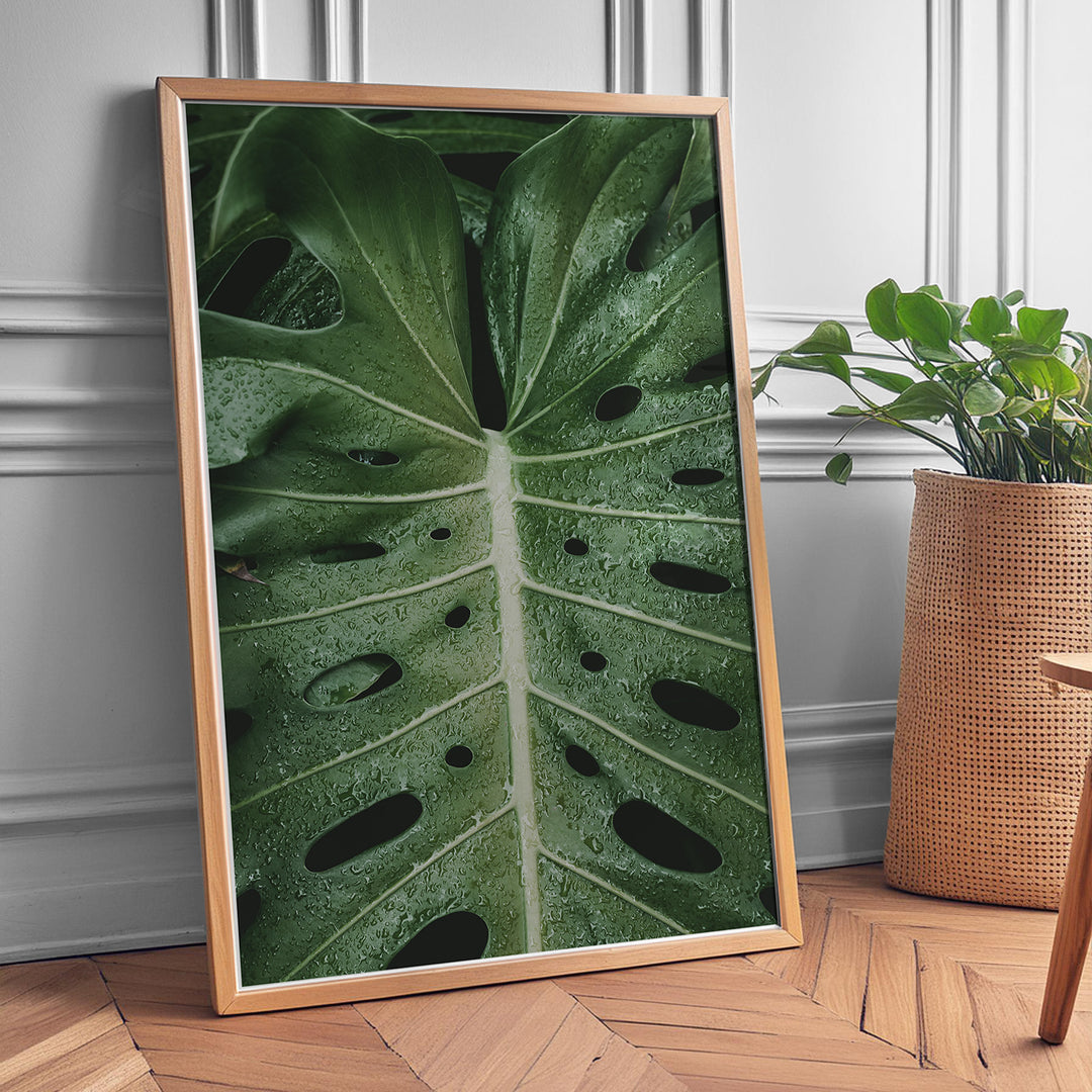 Plante plakat | Naturligt print til din indretning | Plakat med grønne planter, botanisk kunst og naturplanter, ideel til at tilføje et organisk og livligt præg til dit hjem.