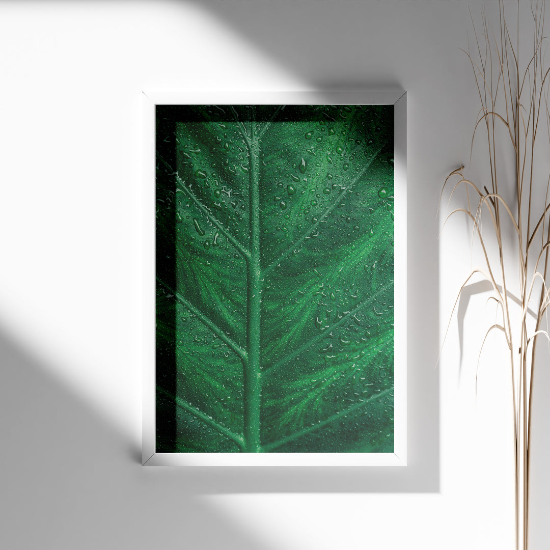 Plante print | Stilfuld plakat med botaniske motiver | Plakat med grønne planter, botanisk kunst og naturplanter, ideel til at tilføje et organisk og livligt præg til dit hjem.