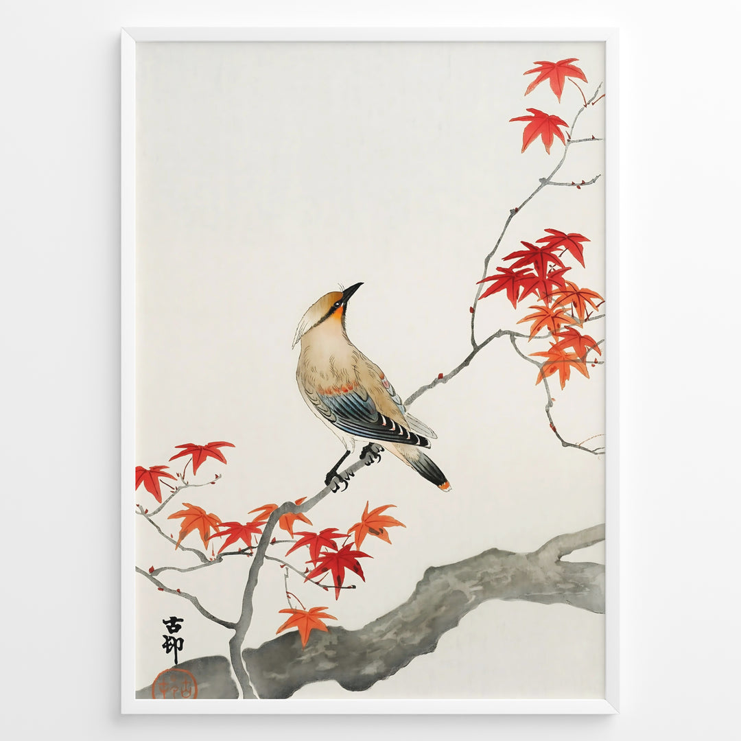 Japanese watercolor painting of a bird perched on a branch with red maple leaves in a framed poster.