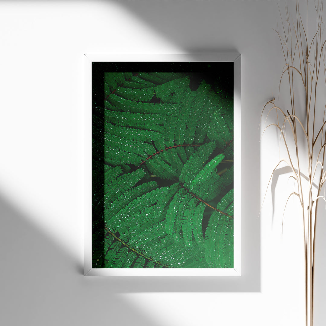 Plante print | Elegant plakat med detaljerede illustrationer | Plakat med grønne planter, botanisk kunst og naturplanter, ideel til at tilføje et organisk og livligt præg til dit hjem.