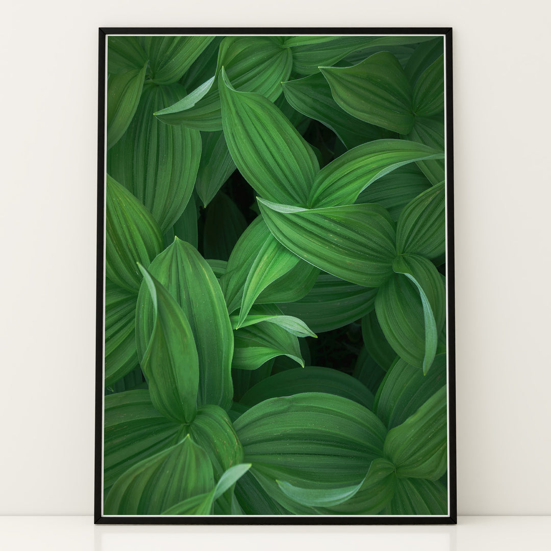 Plante print | Tidløs plakat med inspirerende motiver | Plakat med grønne planter, botanisk kunst og naturplanter, ideel til at tilføje et organisk og livligt præg til dit hjem.