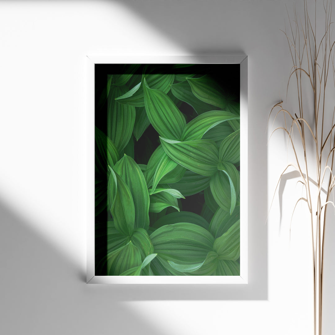 Plante print | Tidløs plakat med inspirerende motiver | Plakat med grønne planter, botanisk kunst og naturplanter, ideel til at tilføje et organisk og livligt præg til dit hjem.