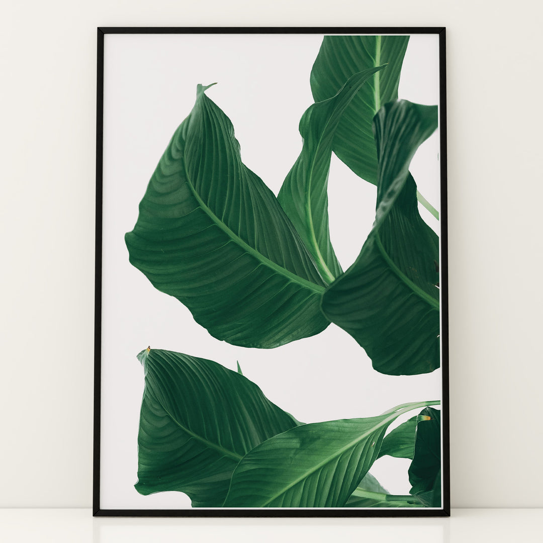 Plante print | Smuk plakat med levende farver | Plakat med grønne planter, botanisk kunst og naturplanter, ideel til at tilføje et organisk og livligt præg til dit hjem.