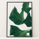 Indlæs billede til gallerivisning Plante print | Smuk plakat med levende farver | Plakat med grønne planter, botanisk kunst og naturplanter, ideel til at tilføje et organisk og livligt præg til dit hjem.
