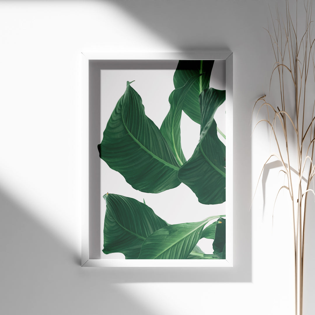 Plante print | Smuk plakat med levende farver | Plakat med grønne planter, botanisk kunst og naturplanter, ideel til at tilføje et organisk og livligt præg til dit hjem.