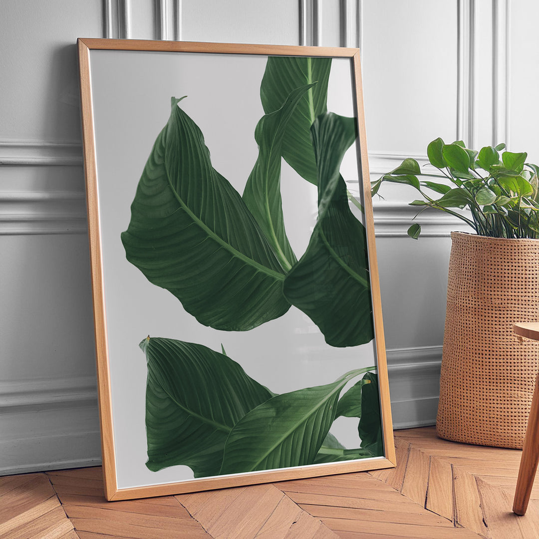 Plante print | Smuk plakat med levende farver | Plakat med grønne planter, botanisk kunst og naturplanter, ideel til at tilføje et organisk og livligt præg til dit hjem.