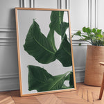 Indlæs billede til gallerivisning Plante print | Smuk plakat med levende farver | Plakat med grønne planter, botanisk kunst og naturplanter, ideel til at tilføje et organisk og livligt præg til dit hjem.
