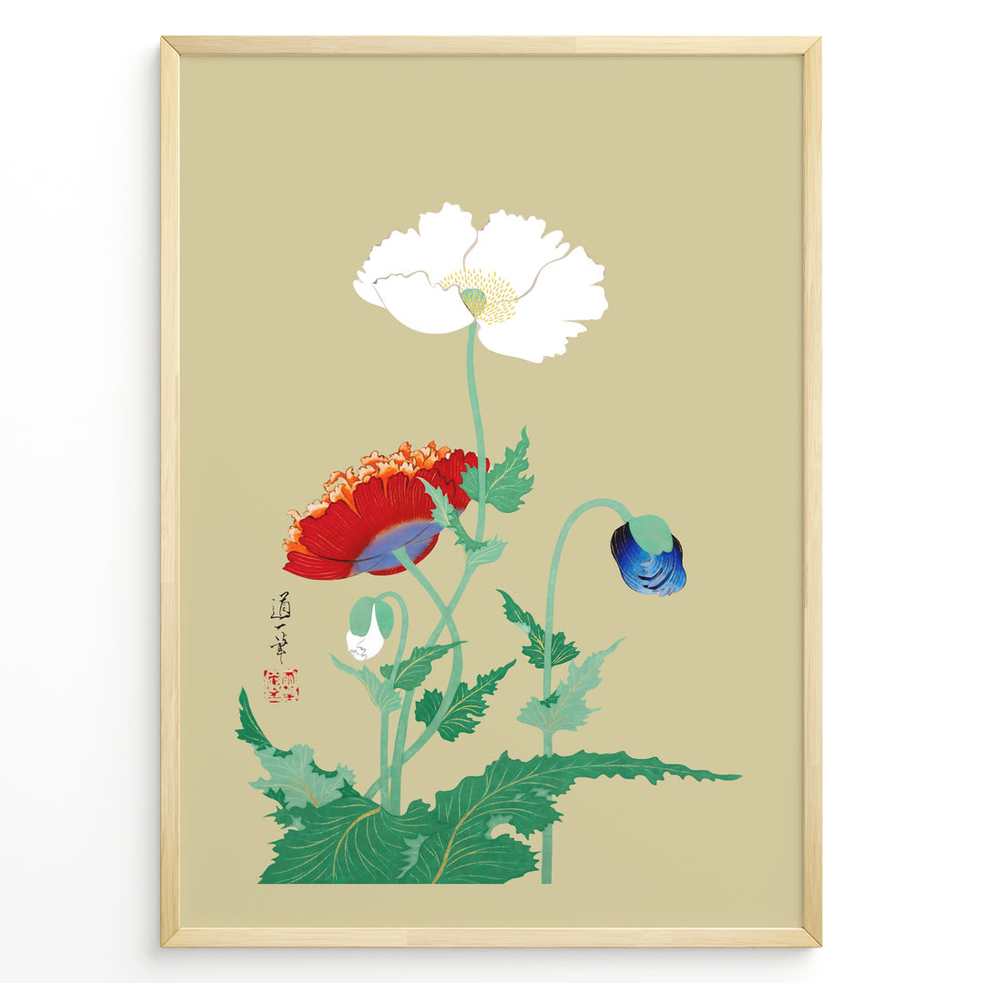Japanese botanical illustration of white, red, and blue poppy flowers on a beige background in a framed poster.