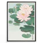 Indlæs billede til gallerivisning Japanese woodblock-style lotus flower illustration with pink blooms and green lily pads in a framed poster.
