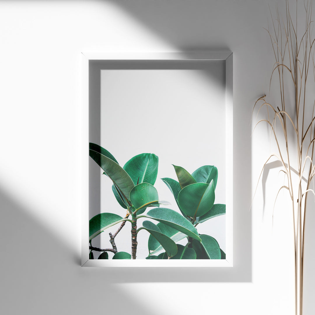 Plante plakat | Naturligt print der skaber ro | Plakat med grønne planter, botanisk kunst og naturplanter, ideel til at tilføje et organisk og livligt præg til dit hjem.