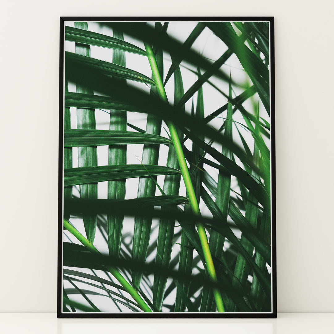 Plante print | Unik plakat med stilfulde designs | Plakat med grønne planter, botanisk kunst og naturplanter, ideel til at tilføje et organisk og livligt præg til dit hjem.