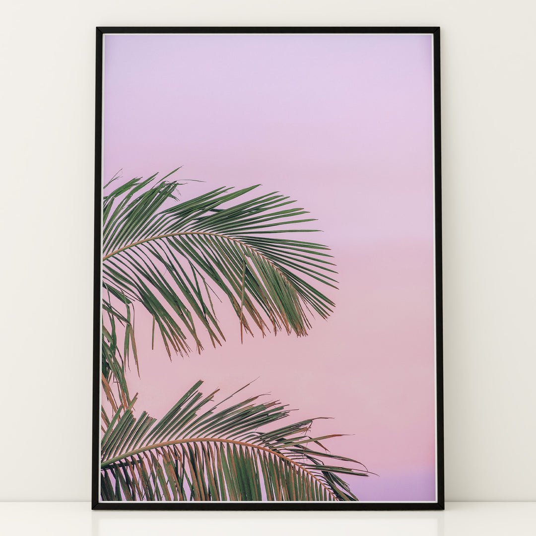 Plakat med palmeblade | Sommer og Strand Plakater | Denne plakat viser grønne palmeblade mod en pastel farvet himmel. Perfekt til dem, der elsker tropisk atmosfære.