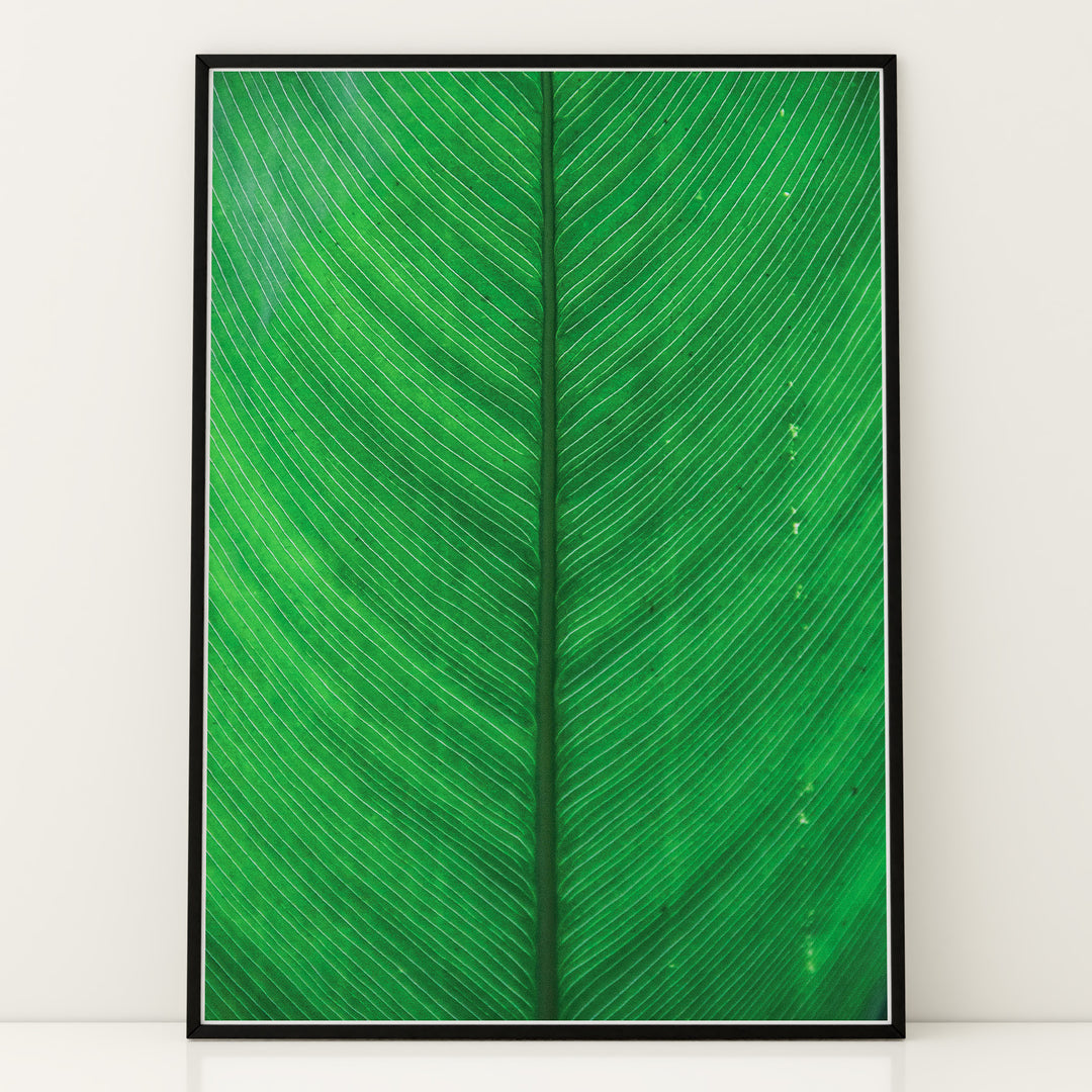 Plante plakat | Elegant print med livlige motiver | Plakat med grønne planter, botanisk kunst og naturplanter, ideel til at tilføje et organisk og livligt præg til dit hjem.