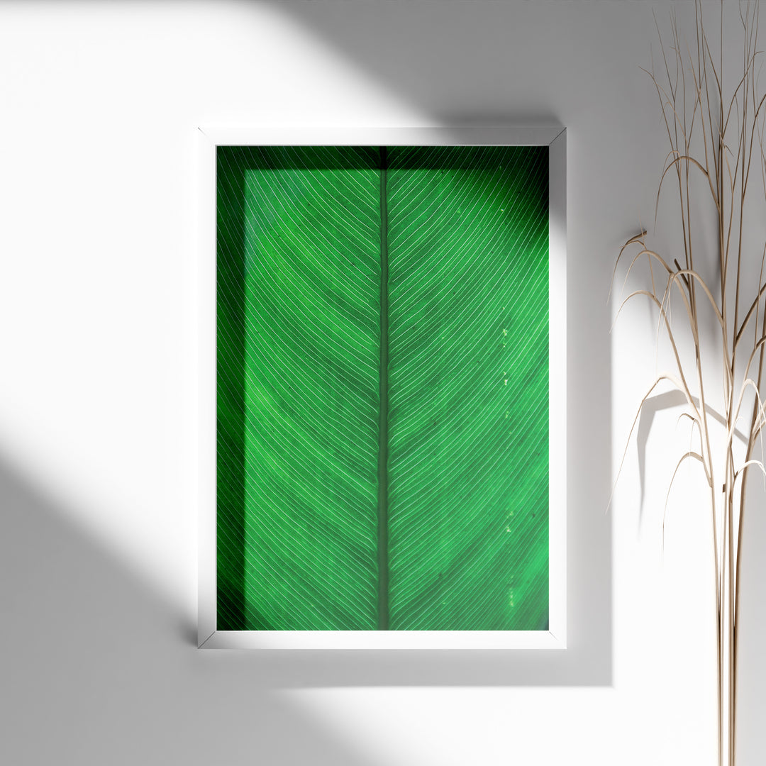 Plante plakat | Elegant print med livlige motiver | Plakat med grønne planter, botanisk kunst og naturplanter, ideel til at tilføje et organisk og livligt præg til dit hjem.