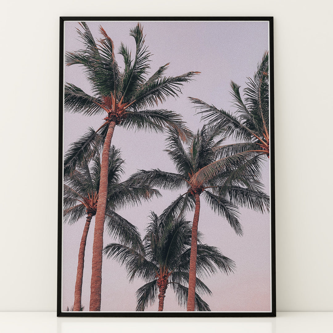 Plakat med palmer og himmel | Sommer og Strand Plakater | Denne plakat viser flere høje palmer med grønne fronds mod en pastel farvet himmel. Perfekt til dem, der elsker tropiske omgivelser.