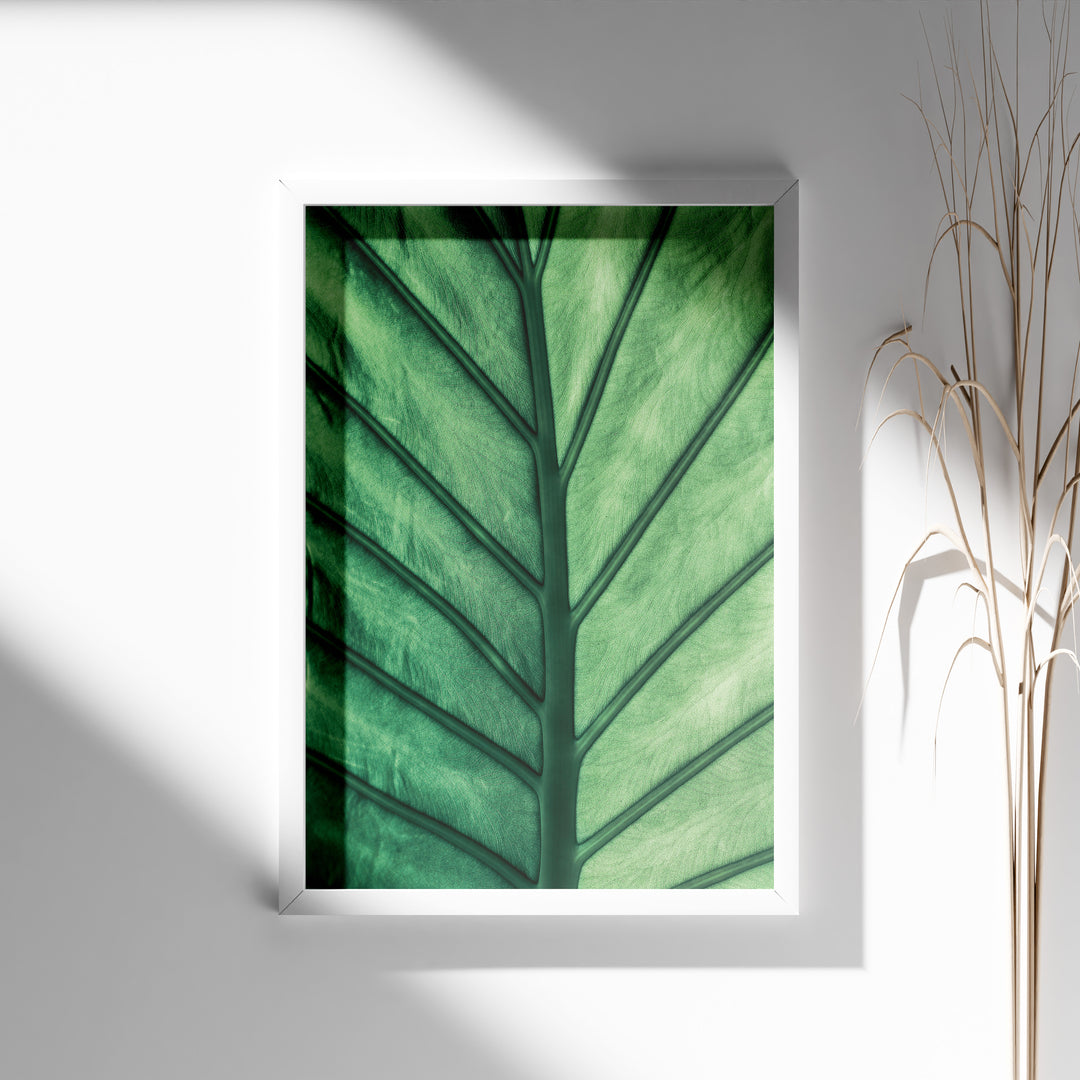 Plante print | Frodig plakat til stuen | Plakat med grønne planter, botanisk kunst og naturplanter, ideel til at tilføje et organisk og livligt præg til dit hjem.