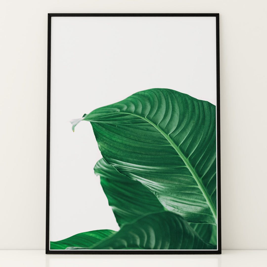 Plante plakat | Skøn print med planter og blomster | Plakat med grønne planter, botanisk kunst og naturplanter, ideel til at tilføje et organisk og livligt præg til dit hjem.