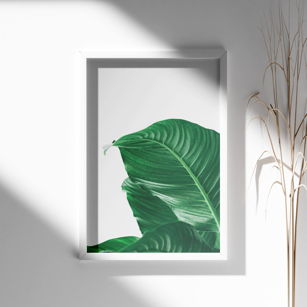 Plante plakat | Skøn print med planter og blomster | Plakat med grønne planter, botanisk kunst og naturplanter, ideel til at tilføje et organisk og livligt præg til dit hjem.