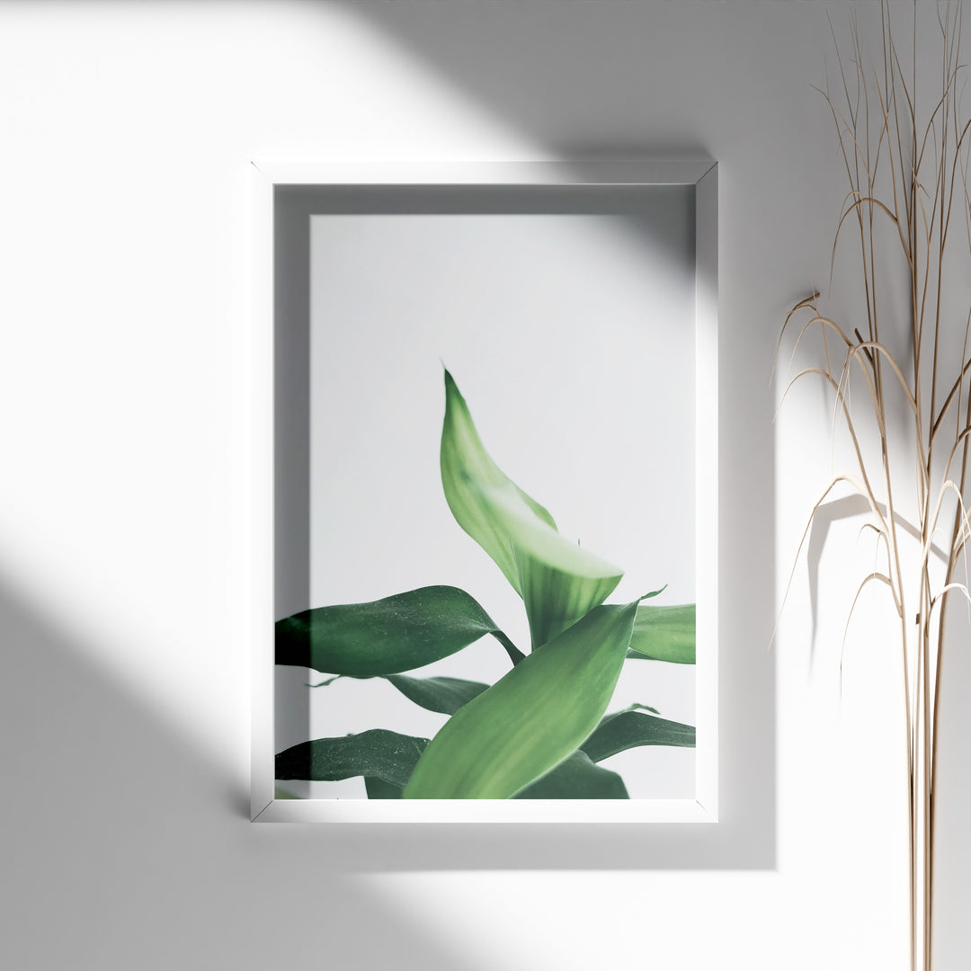 Plante print | Stilfuld plakat der lyser rummet op | Plakat med grønne planter, botanisk kunst og naturplanter, ideel til at tilføje et organisk og livligt præg til dit hjem.