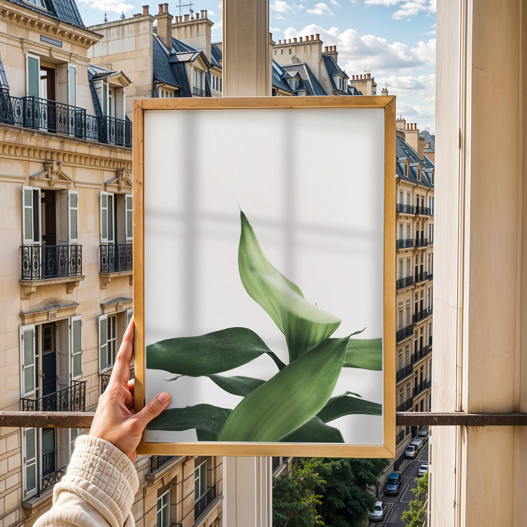 Plante print | Stilfuld plakat der lyser rummet op | Plakat med grønne planter, botanisk kunst og naturplanter, ideel til at tilføje et organisk og livligt præg til dit hjem.