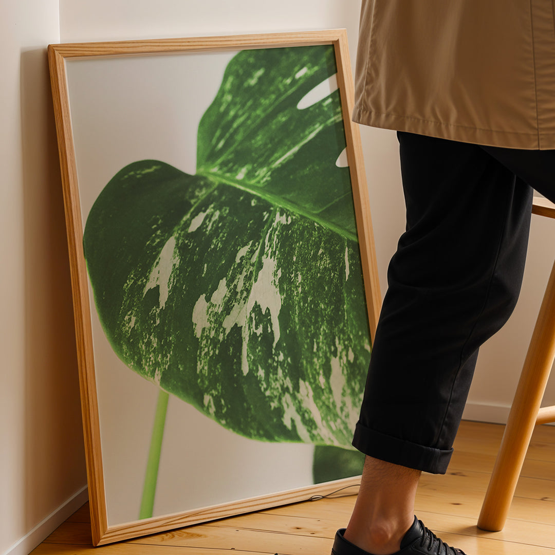 Plante plakat | Detaljeret print til moderne indretning | Plakat med grønne planter, botanisk kunst og naturplanter, ideel til at tilføje et organisk og livligt præg til dit hjem.