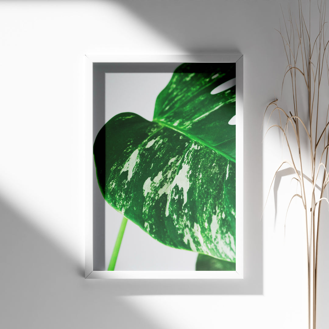 Plante plakat | Detaljeret print til moderne indretning | Plakat med grønne planter, botanisk kunst og naturplanter, ideel til at tilføje et organisk og livligt præg til dit hjem.