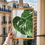 Indlæs billede til gallerivisning Plante plakat | Detaljeret print til moderne indretning | Plakat med grønne planter, botanisk kunst og naturplanter, ideel til at tilføje et organisk og livligt præg til dit hjem.
