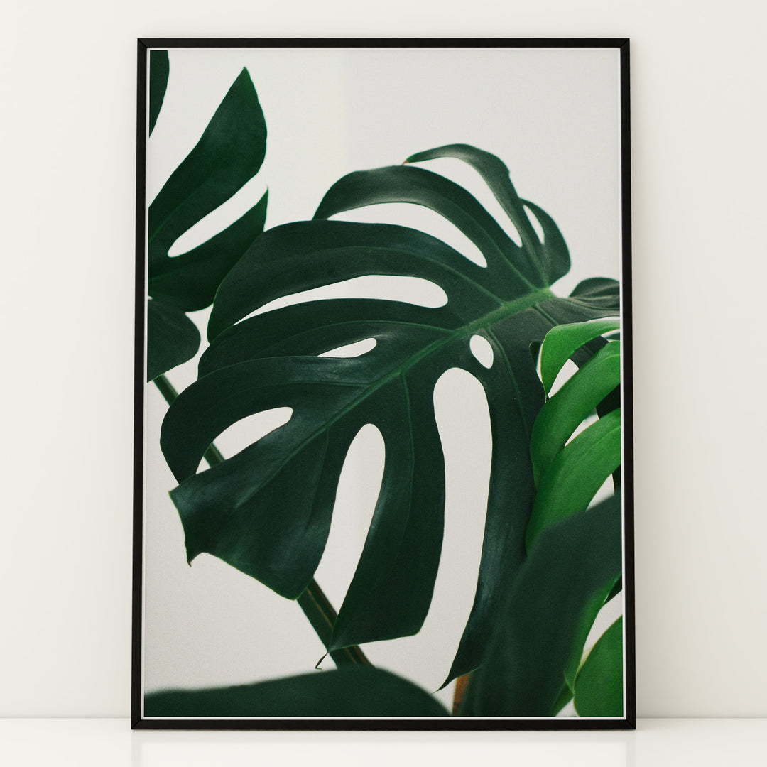 Plante print | Unik plakat der bringer naturen ind | Plakat med grønne planter, botanisk kunst og naturplanter, ideel til at tilføje et organisk og livligt præg til dit hjem.